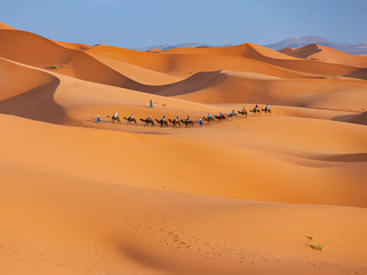 A camel caravan crossing the golden Erg Chebbi dunes near Merzouga