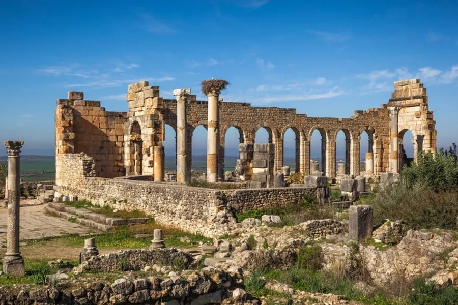 The Roman basilica, columns and a stork nest at Volubilis, UNESCO World Heritage Site near Meknes, day 4 of the 14-Day Morocco Tour from Casablanca: Morocco at Leisure