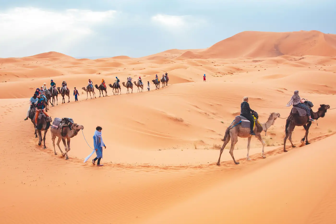 Camel trek over the Erg Chebbi dunes in Merzouga