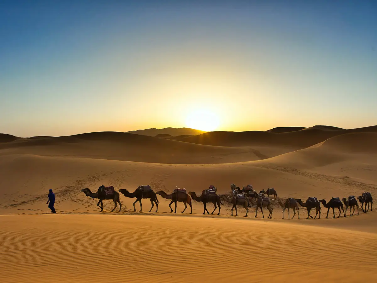 Luxury desert camp in the Erg Chebbi dunes, part of a private Morocco tour for American travelers